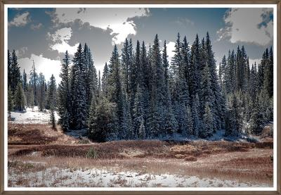 Winter Valley