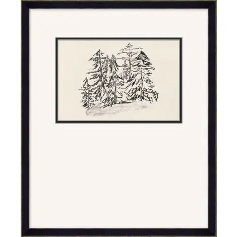 Pine Tree Study 4