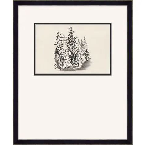 Pine Tree Study 5